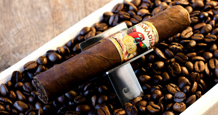 Paradiso by Ashton Review