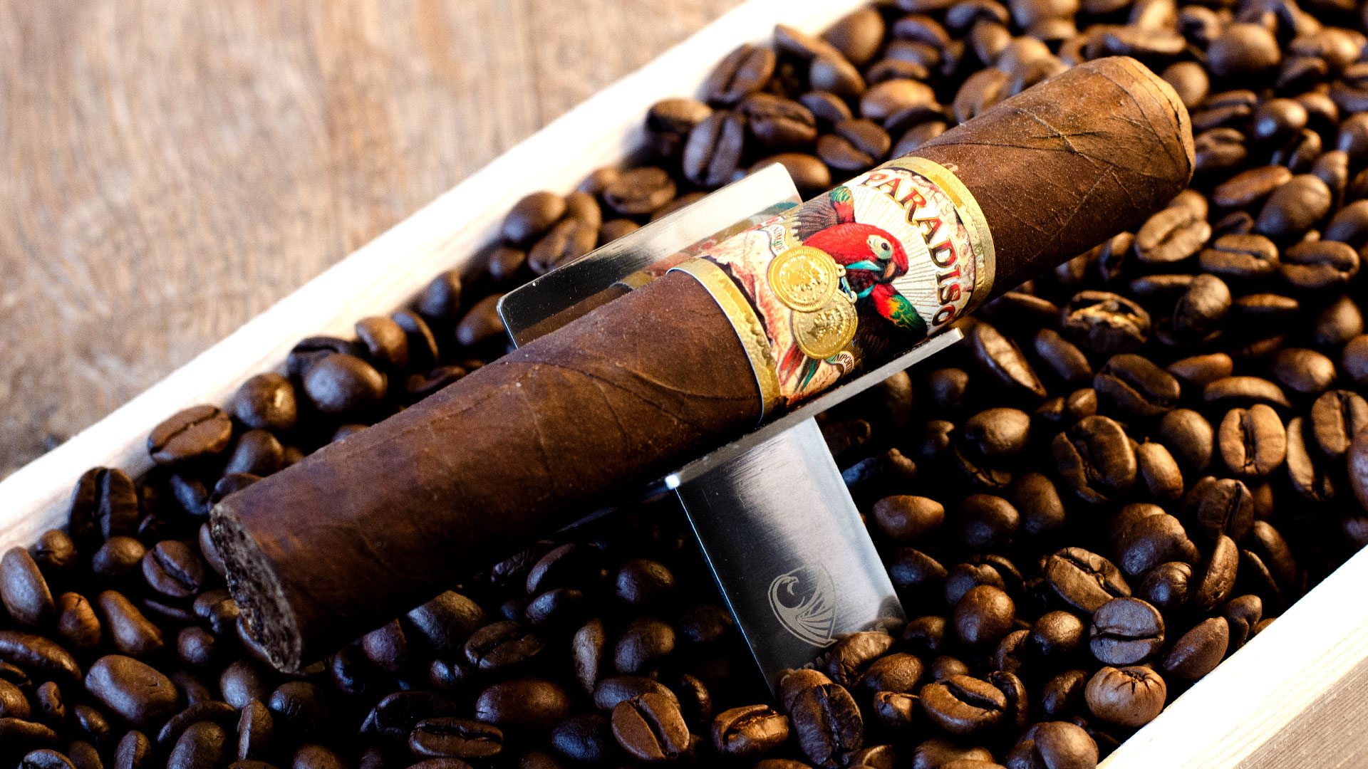 Paradiso by Ashton Review