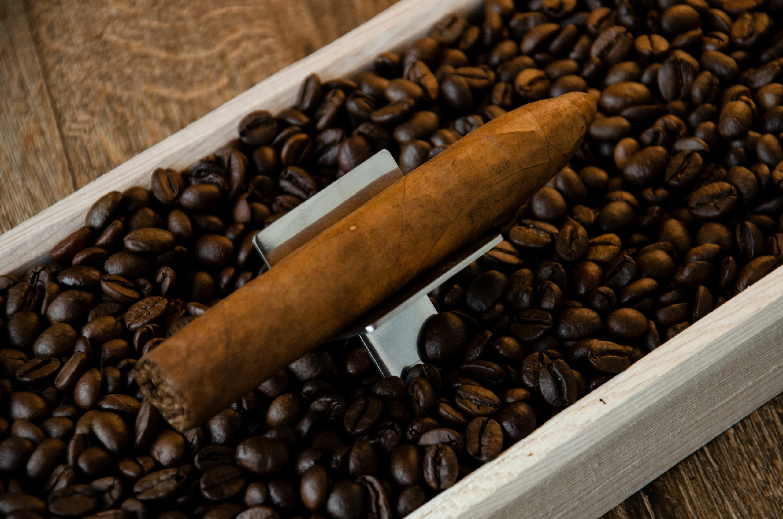 Factory Overrun Nicaragua 2013 Torpedo