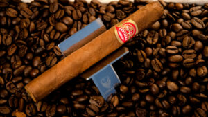 Partagas Aristocrats Review