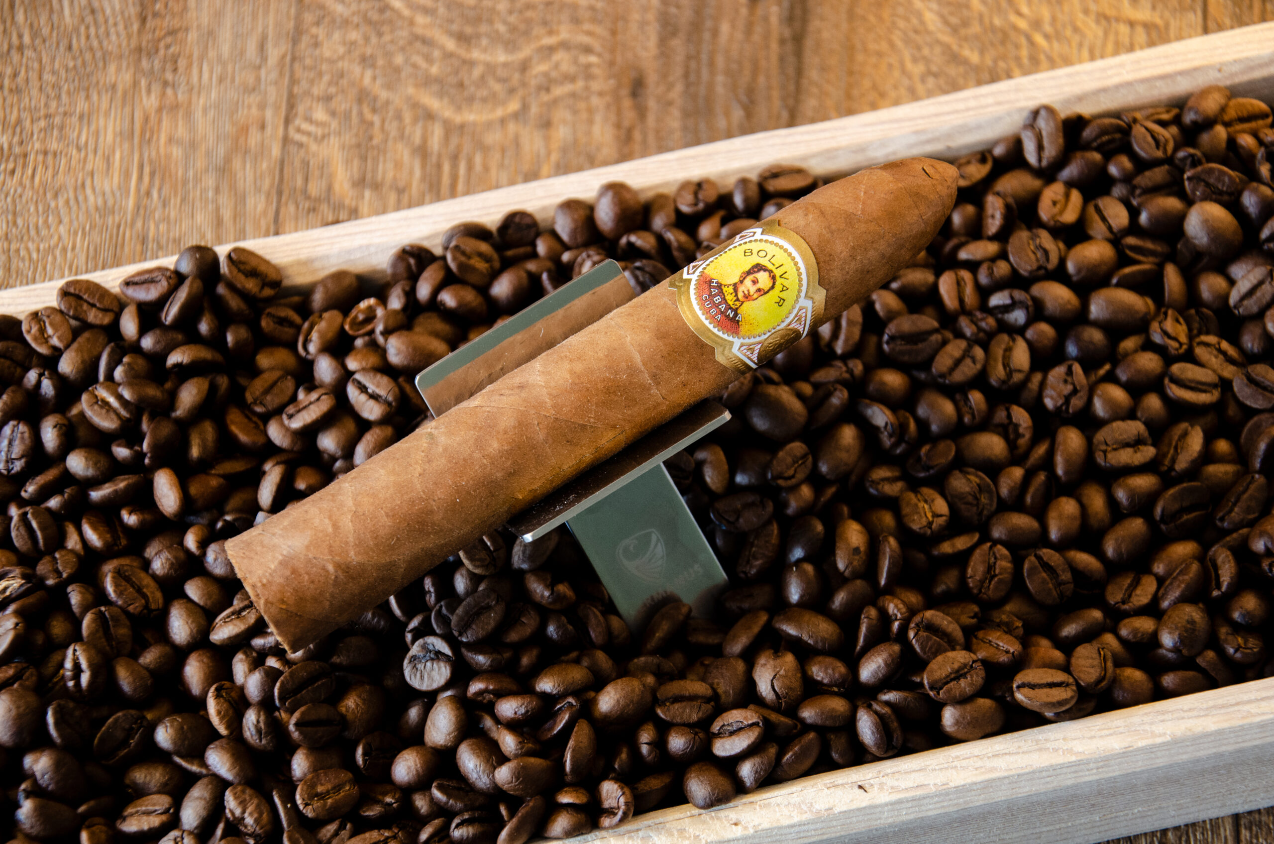 Bolivar Belicosos Finos