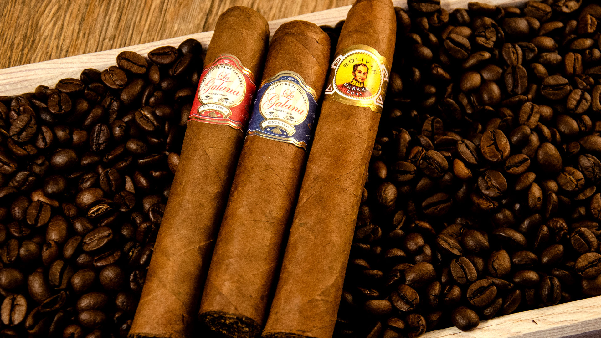 La Galana Haul vom 21. Mai 2022