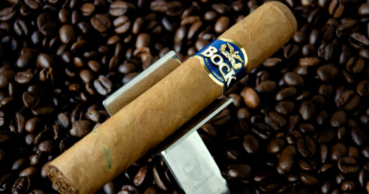 Keine gute Gesellschaft - Bock Y Compania Robusto Review