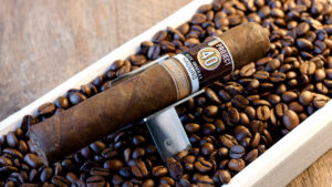 Alec Bradley Project 40 Maduro Gordo Review