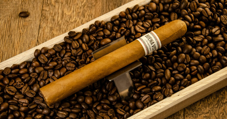 Buena Vista Araperique Churchill