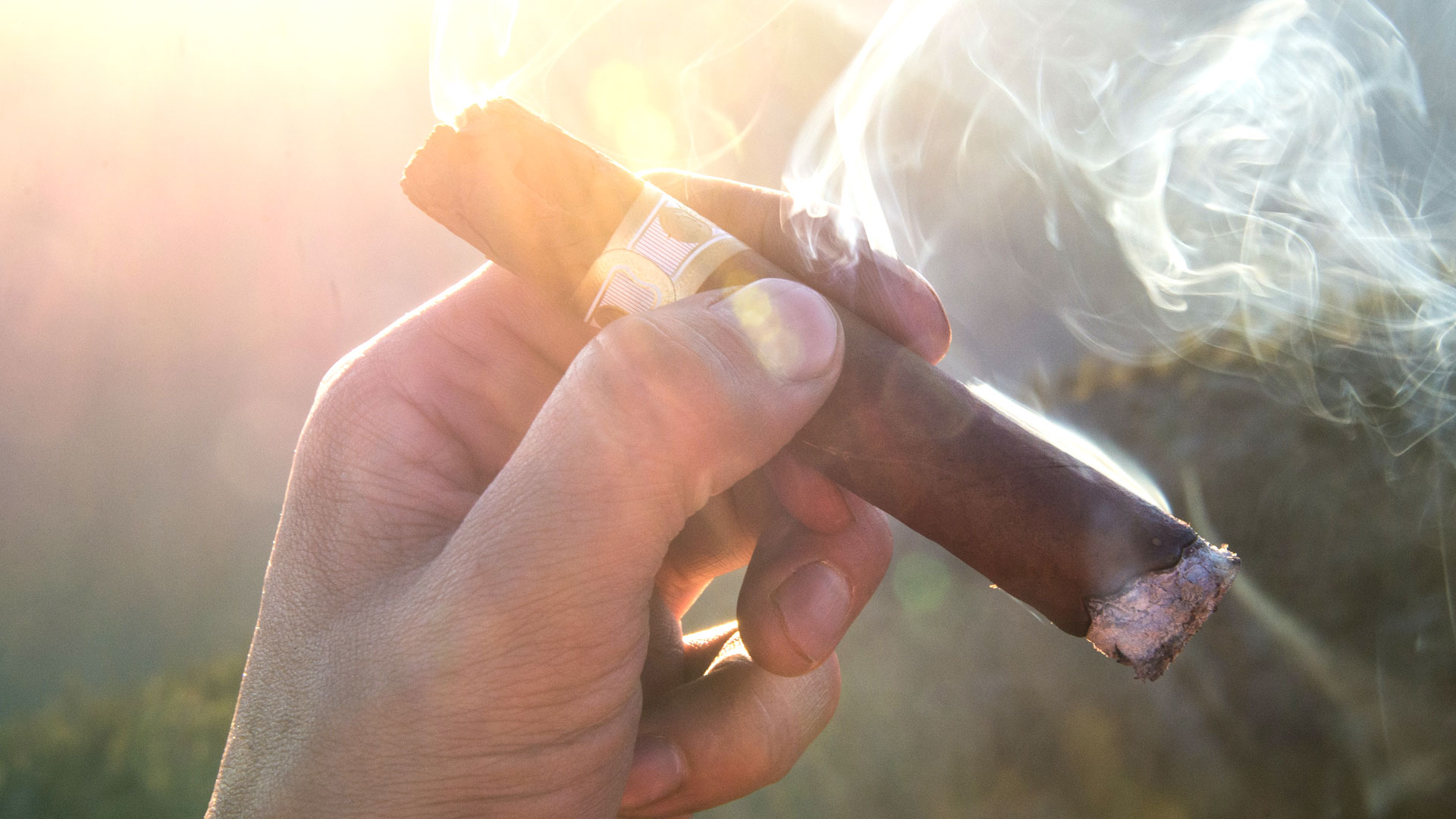 Zigarren Tipps für Anfänger