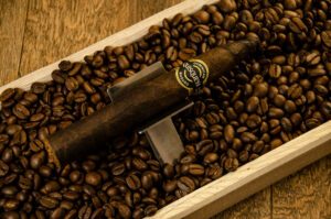 Quisqueya Maduro Torpedo
