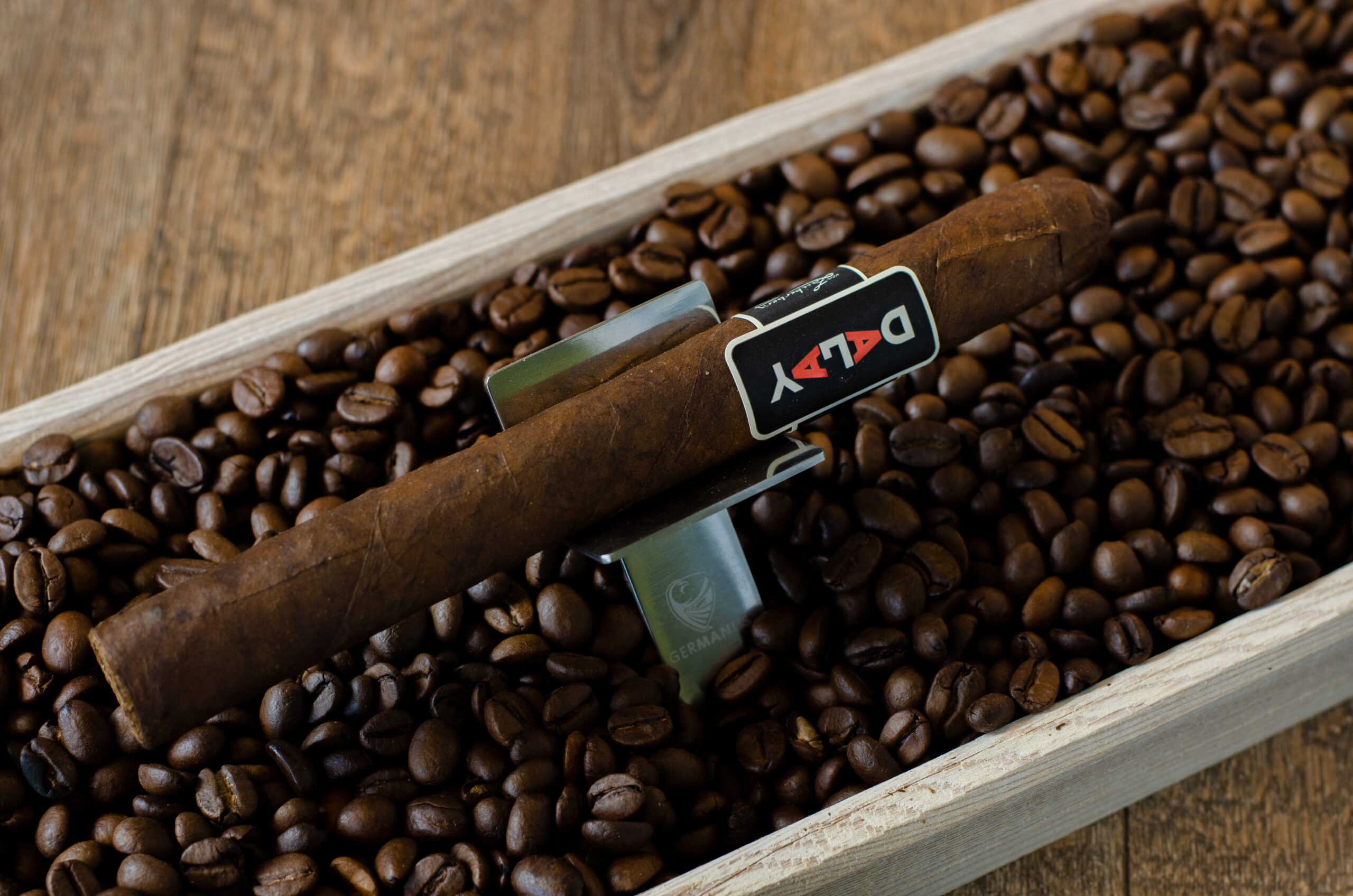 Dalay Dunkel Dom. Rep. Churchill