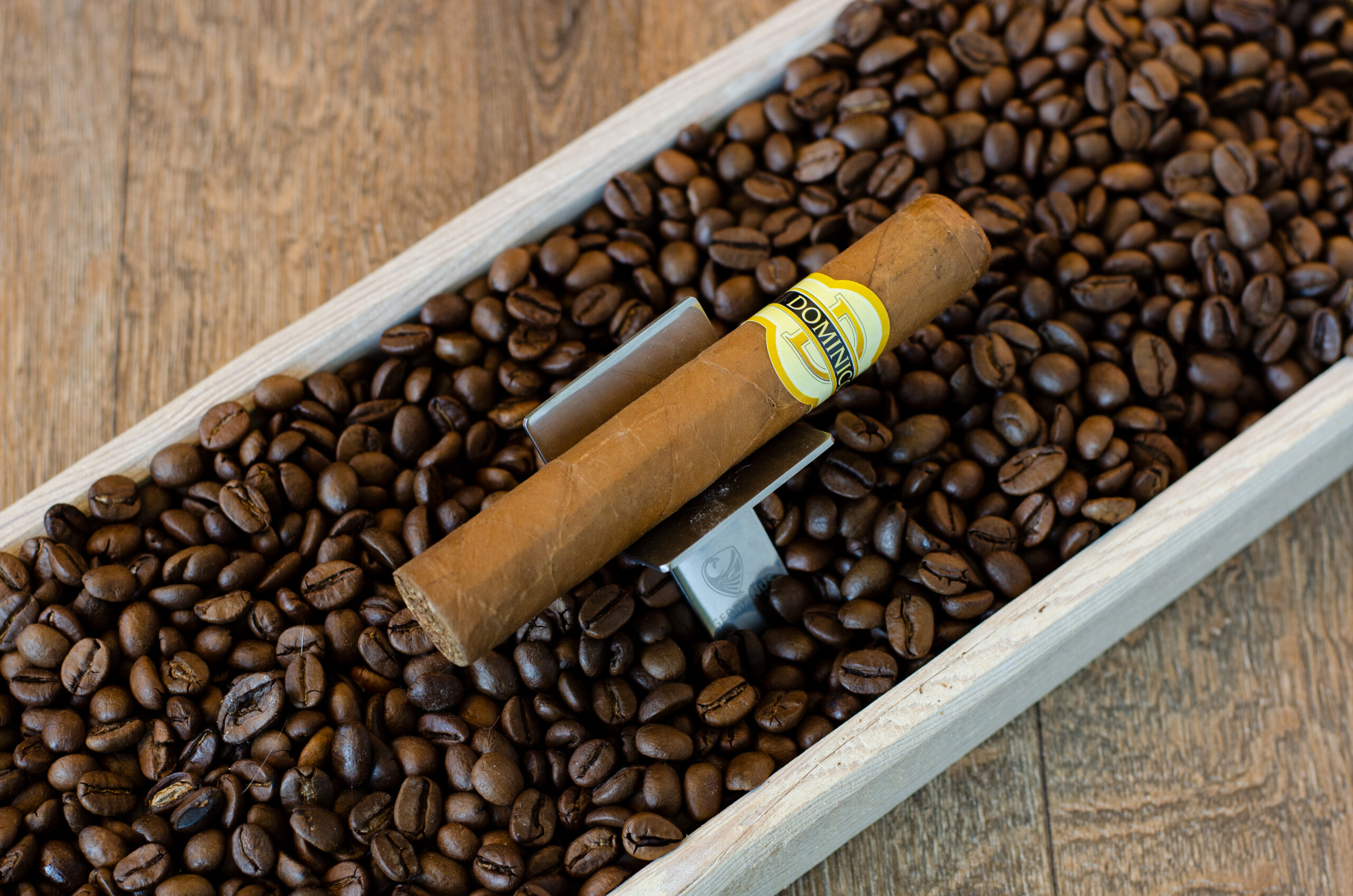 Dominico Bundles Robusto