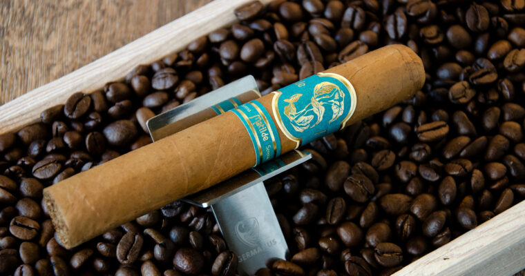 Matilde Serena Robusto