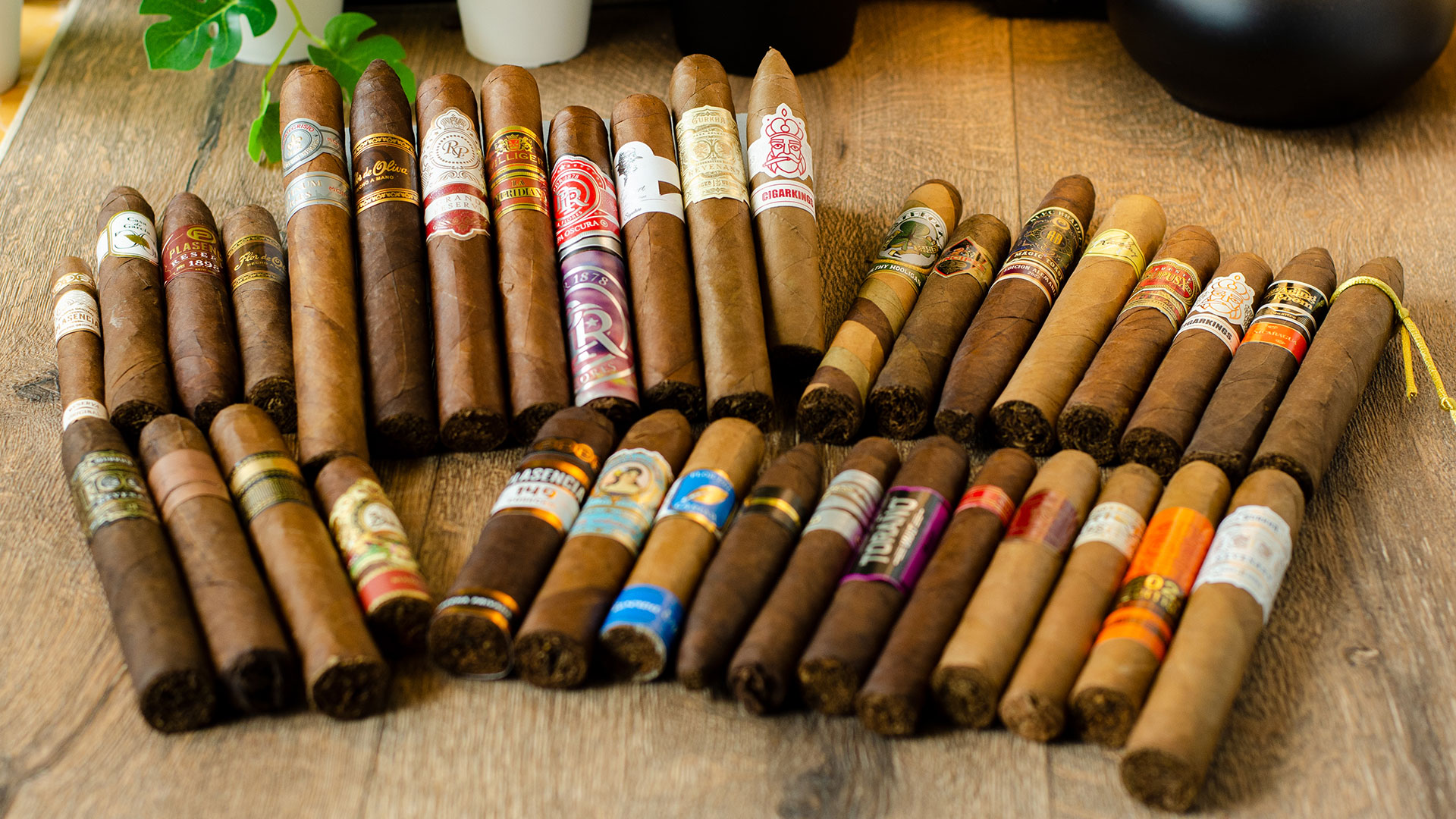 Zigarren Haul vom 05. Juli 2023