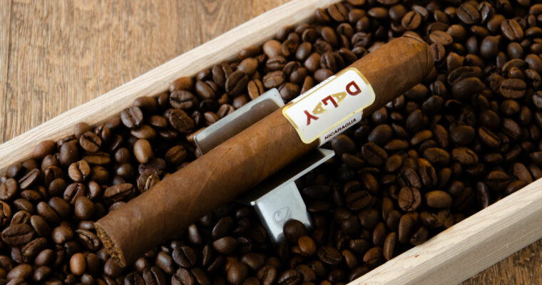 Dalay Nicaragua Toro