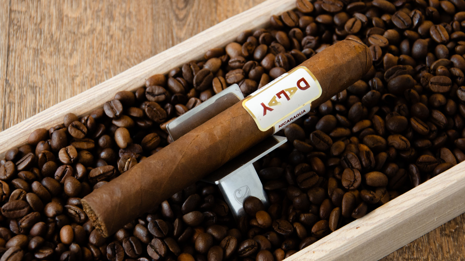 Dalay Nicaragua Toro