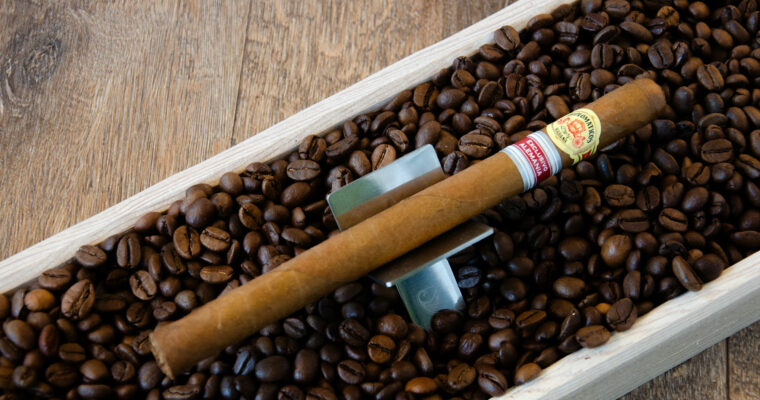 Diplomaticos Grandes