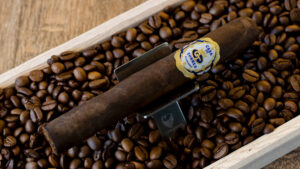 Casa de Torres Maduro Selection Toro