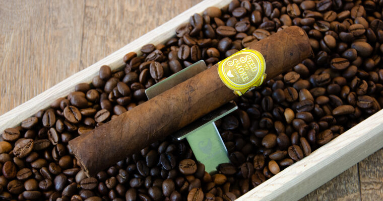 Rocky Patel Seed to Smoke