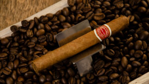 Romeo y Julieta Sport Lagos