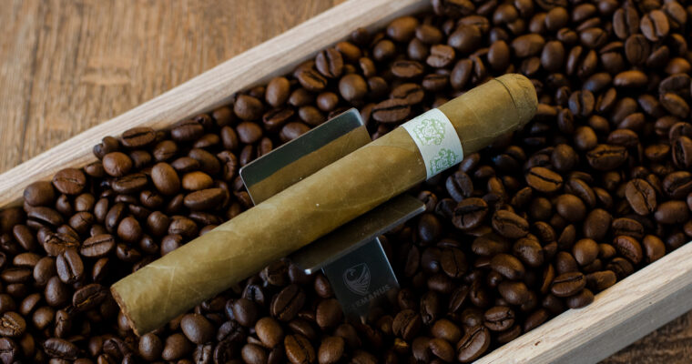 Blanco Classics Candela